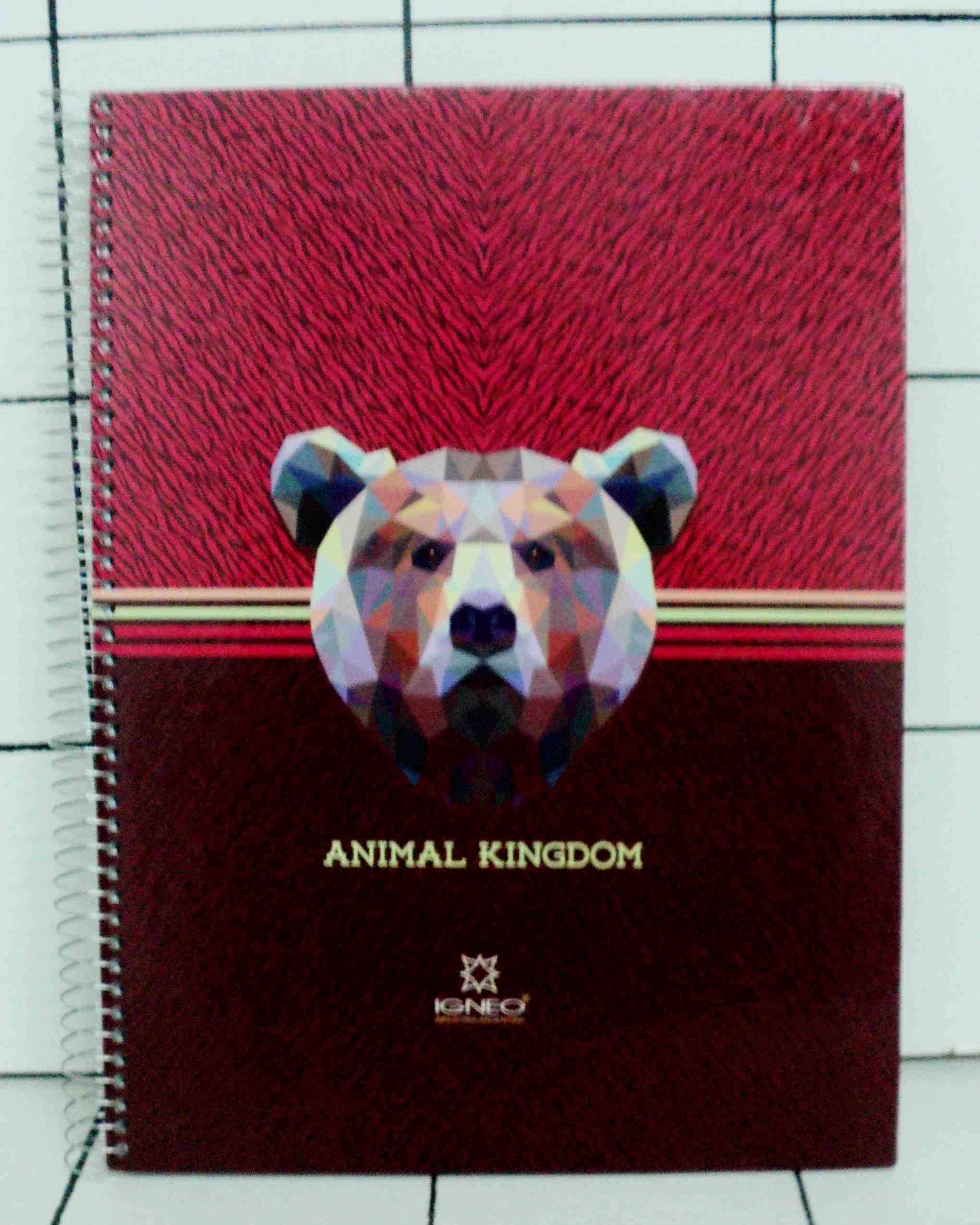 CUADERNO IGNEO 29/7 T/D 100HR-HC