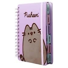 AGENDA C/ESPIRAL DXP 14X20CM PUSHEEN MOOVING
